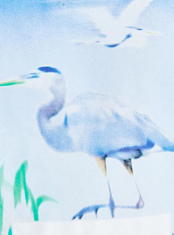 T-shirt SS OS Heron
