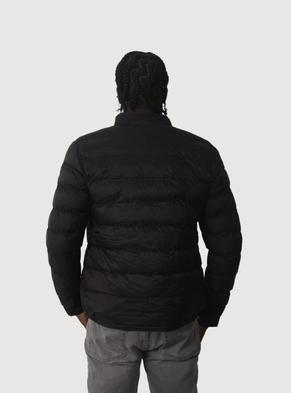 Jacket Down Acorus