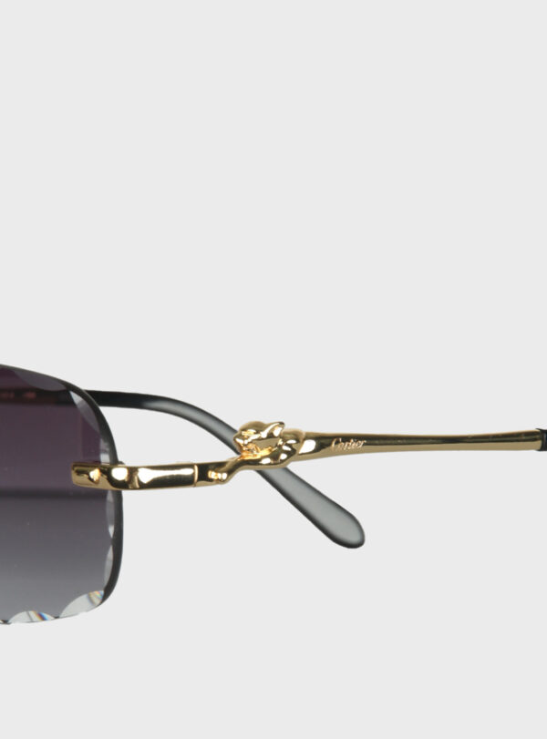 Eyewear CRT 006