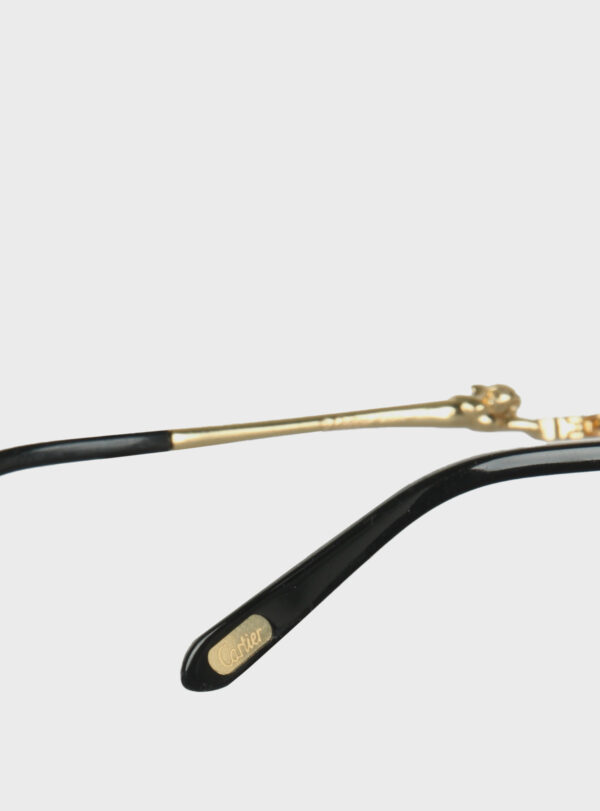 Eyewear CRT 005
