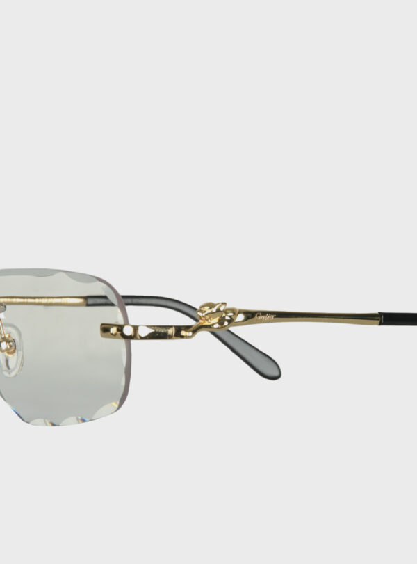 Eyewear CRT 005