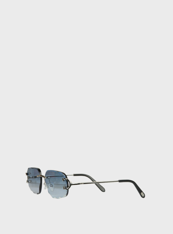 Eyewear CRT 010