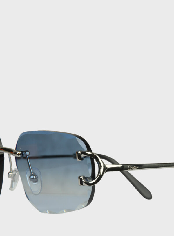 Eyewear CRT 010