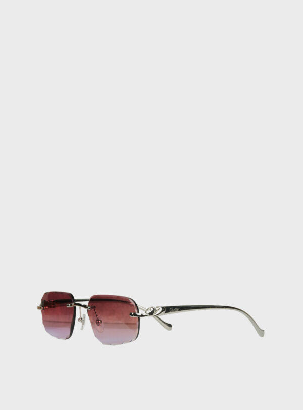 Eyewear CRT 010