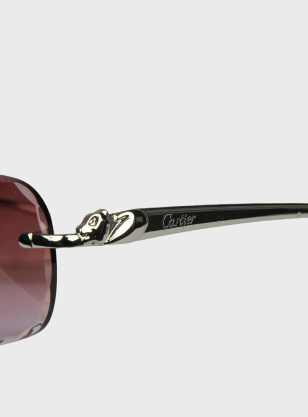 Eyewear CRT 010