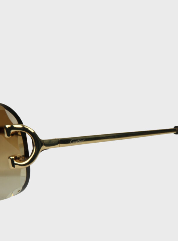 Eyewear CRT 009